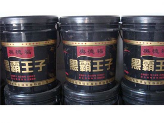 點擊查看詳細(xì)信息<br>標(biāo)題：黑霸王子 閱讀次數(shù)：5286
