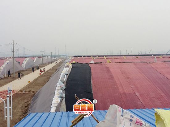 點(diǎn)擊查看詳細(xì)信息<br>標(biāo)題：生態(tài)大棚外景 閱讀次數(shù)：7046