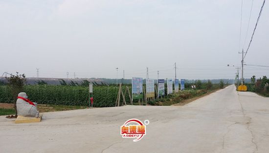點擊查看詳細信息<br>標題：德福一角 閱讀次數(shù)：6757