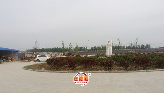 點(diǎn)擊查看詳細(xì)信息<br>標(biāo)題：生態(tài)園蔬菜種植區(qū) 閱讀次數(shù)：7230
