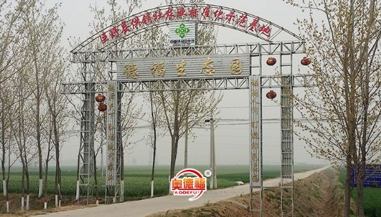 點(diǎn)擊查看詳細(xì)信息<br>標(biāo)題：生態(tài)園 閱讀次數(shù)：7593